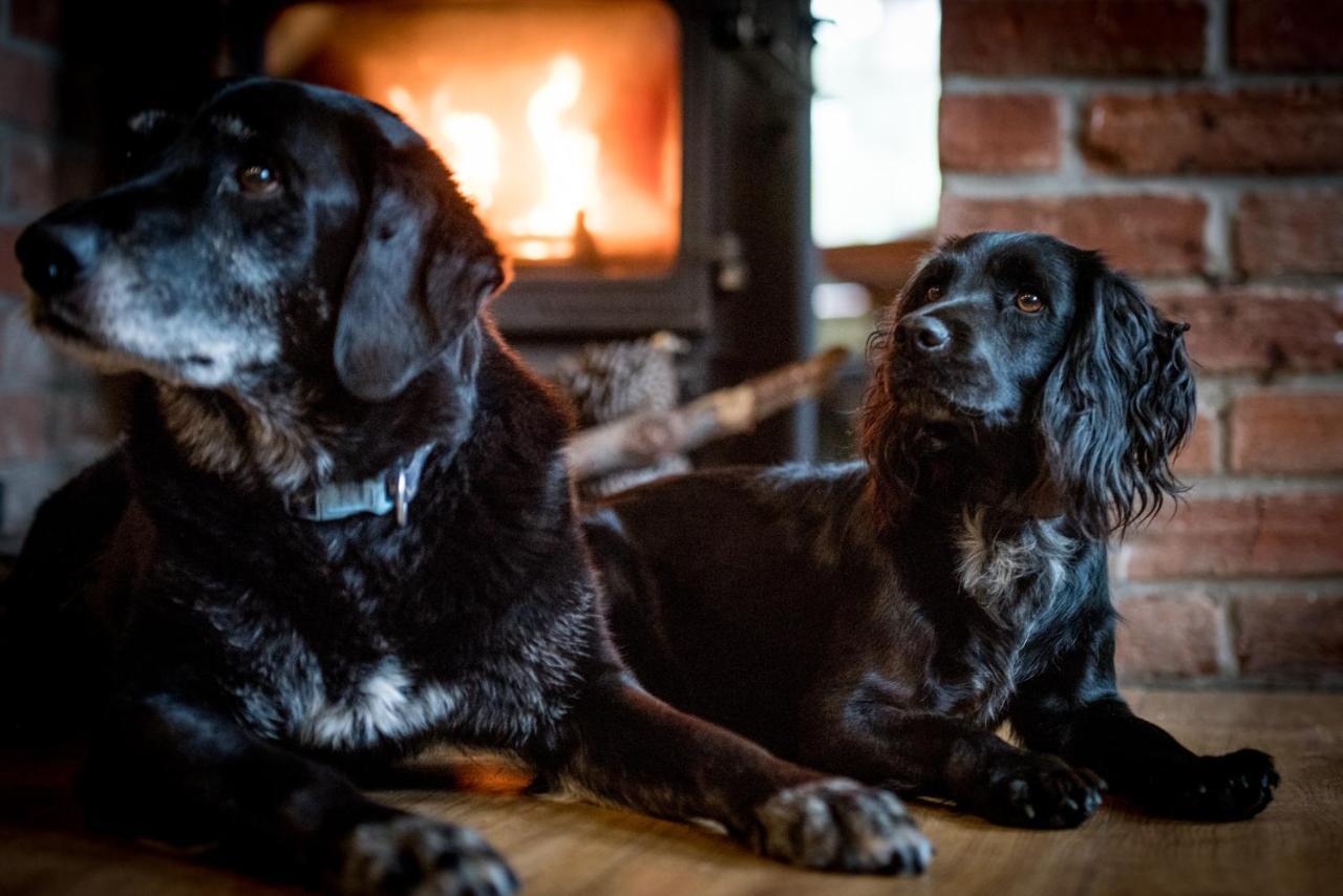 The Kings Arms Otterton Hotel Бъдли Салтъртън Екстериор снимка